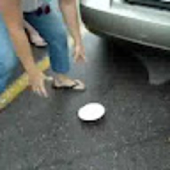 Meet your Posher, Claudia - Picture 1 of 1